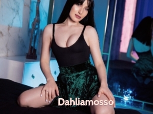 Dahliamosso