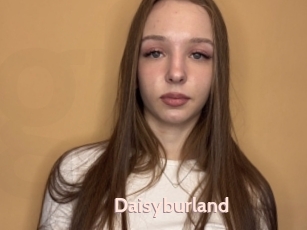 Daisyburland