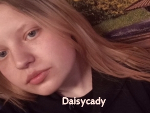 Daisycady