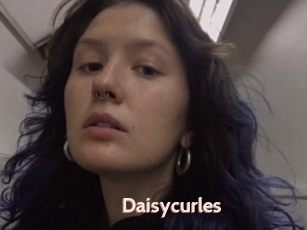 Daisycurles