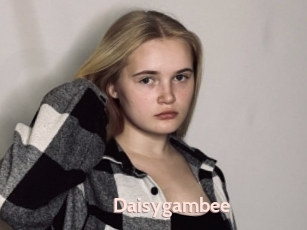 Daisygambee