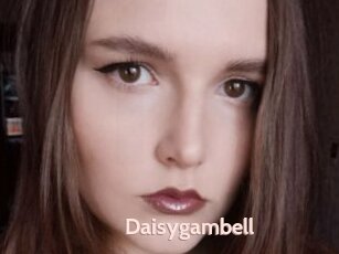 Daisygambell