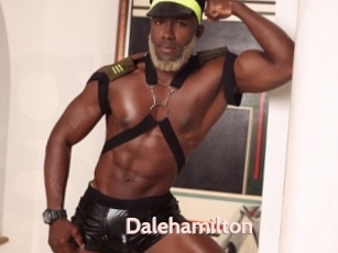 Dalehamilton