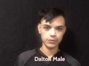 Dalton_Male