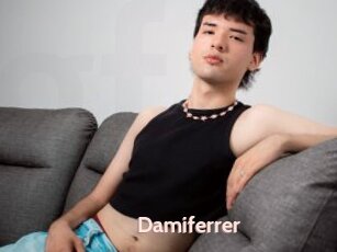 Damiferrer