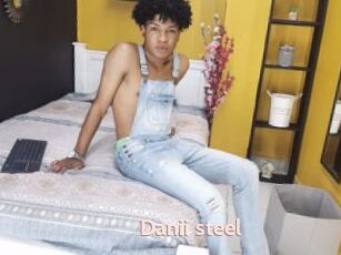 Danii_steel