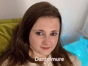 Dantelmure