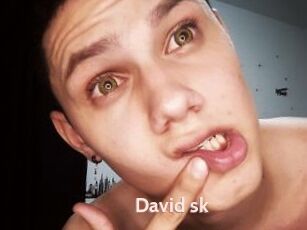 David_sk