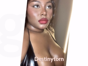 Destinytorn