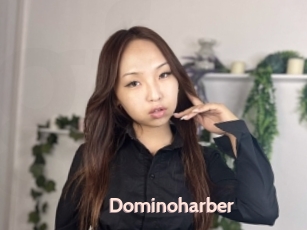 Dominoharber