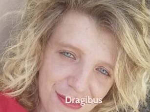 Dragibus