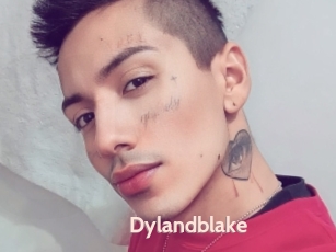 Dylandblake