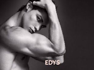 EDYS