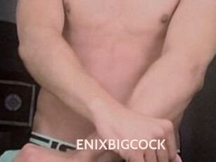 ENIXBIGCOCK