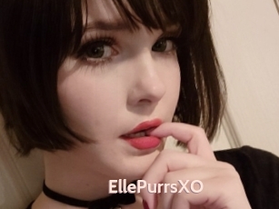 EllePurrsXO