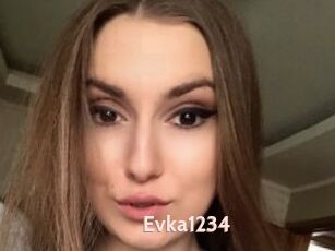 Evka1234