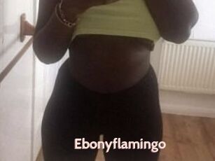 Ebony_flamingo