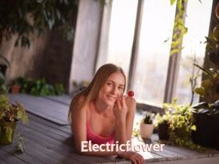 Electricflower