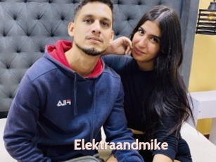 Elektraandmike