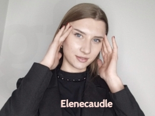 Elenecaudle