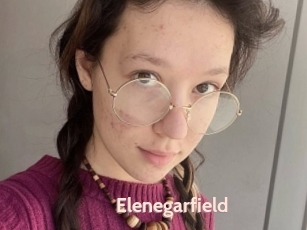 Elenegarfield