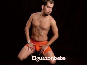 Elguazonbebe