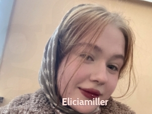 Eliciamiller