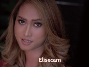 Elisecam