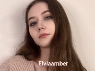 Elviaamber