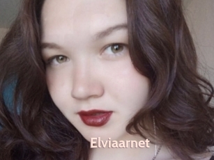 Elviaarnet