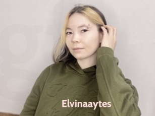 Elvinaaytes