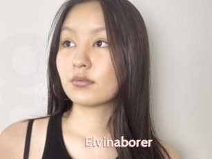 Elvinaborer