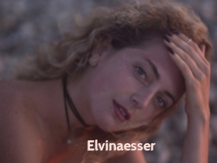 Elvinaesser