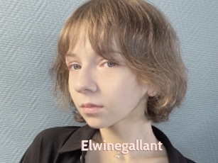 Elwinegallant