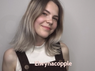 Elwynacopple