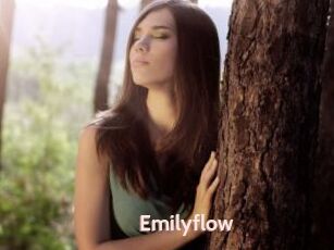 Emilyflow