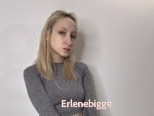 Erlenebigge