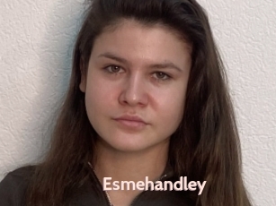 Esmehandley