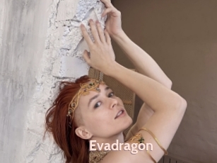 Evadragon