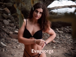 Evageorga