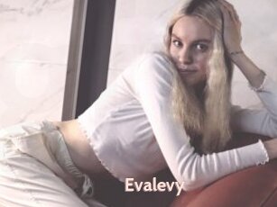 Evalevy