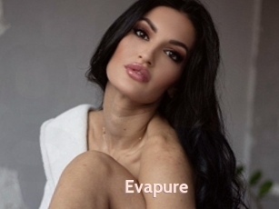 Evapure