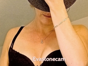 Evastonecam