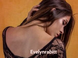 Evelynrabitt