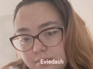 Eviedash