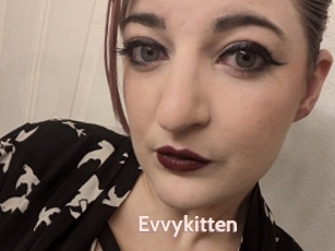 Evvykitten