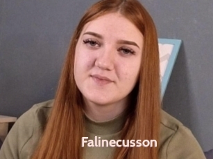 Falinecusson