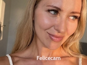 Felicecam