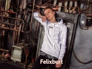 Felixburt