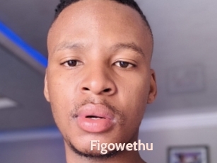 Figowethu